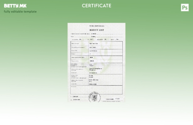 Модерен стил Чешкиот извод од матичната книга на родените шаблон за целосно уред